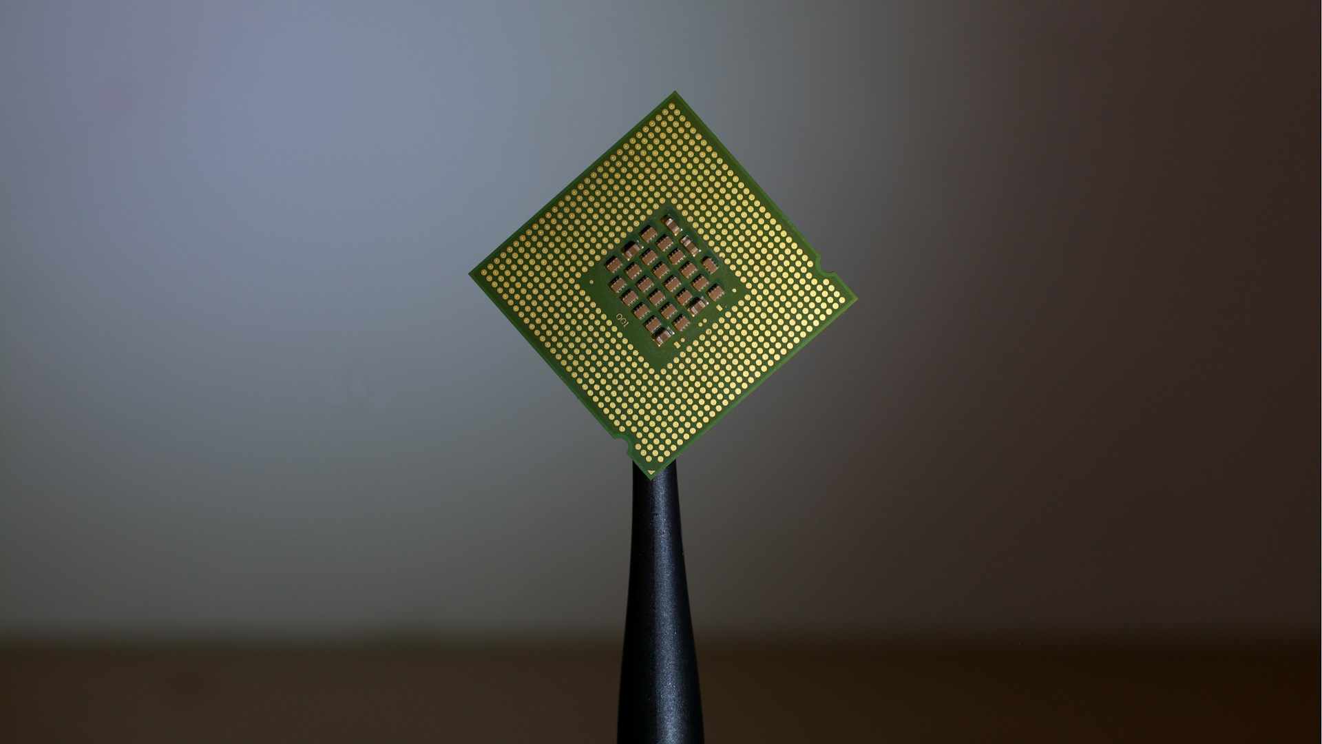 person holding computer cell processor
