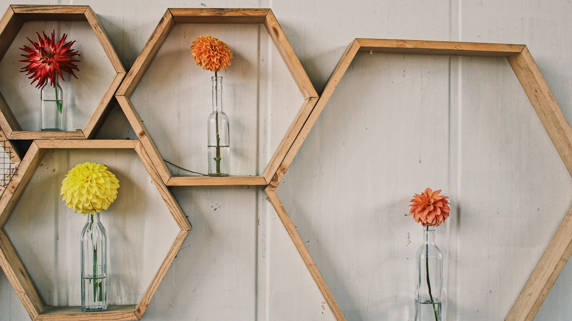 orange and yellow flowers on white wooden wall